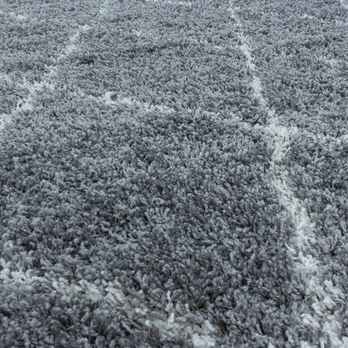 Alvor Shaggy vloerkleed hoogpolig rechthoek 240x340cm grijs