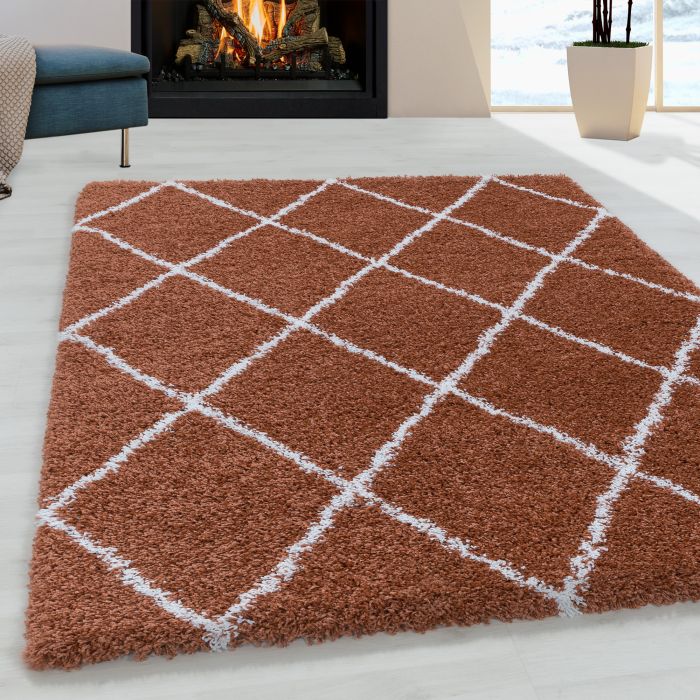 Alvor Shaggy vloerkleed hoogpolig rechthoek 60x110cm terra