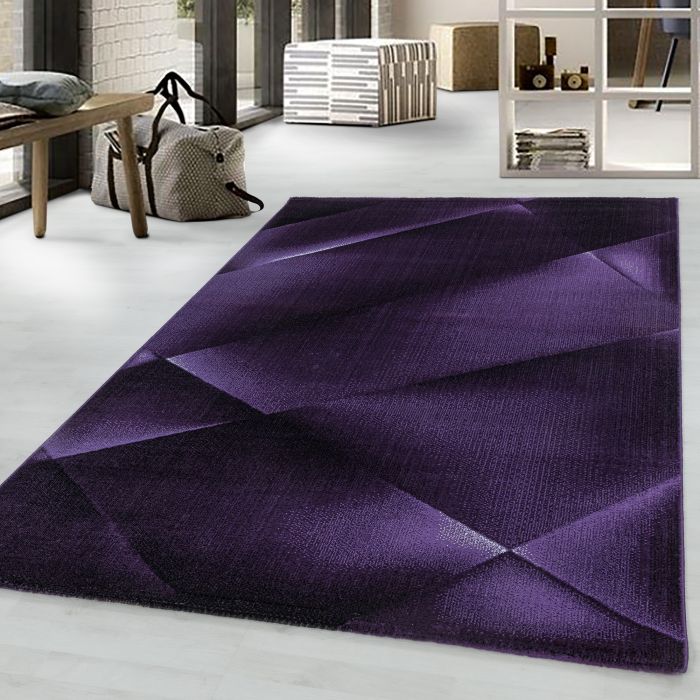 Costa Bary vloerkleed laagpolig rechthoek 200x290cm lila