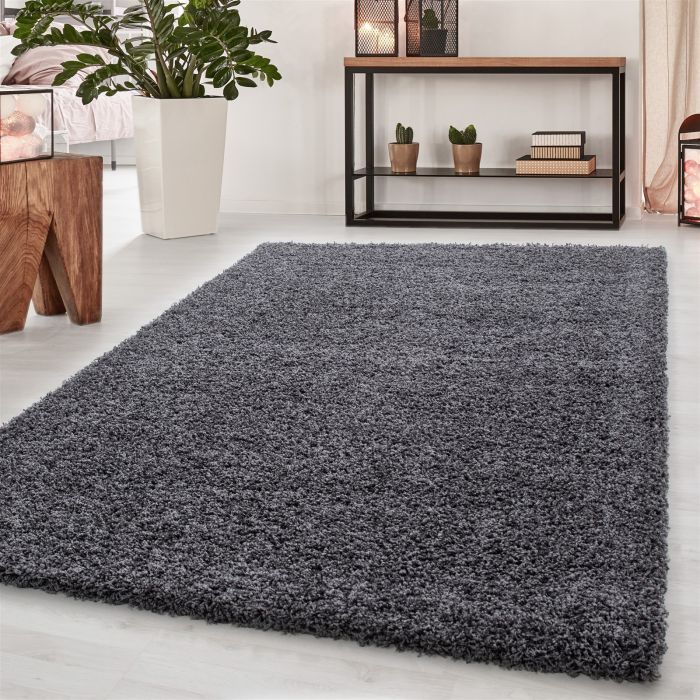 Dream Shaggy vloerkleed hoogpolig rechthoek 65x130cm grijs