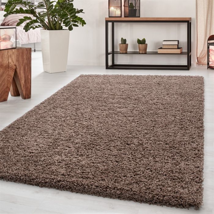 Dream Shaggy vloerkleed hoogpolig rechthoek 120x170cm mokka