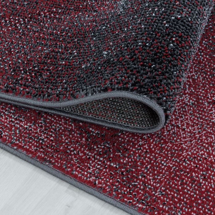 Ottawa Canvas vloerkleed laagpolig rechthoek 200x290cm rood