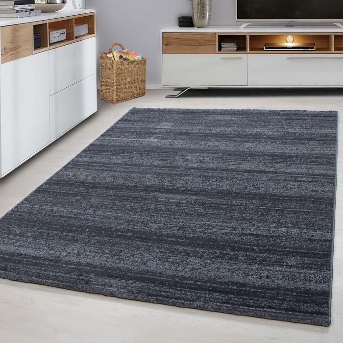 Plus vloerkleed laagpolig rechthoek 80x150cm grijs