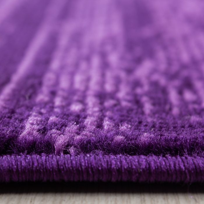 Plus vloerkleed laagpolig rechthoek 160x230cm lila