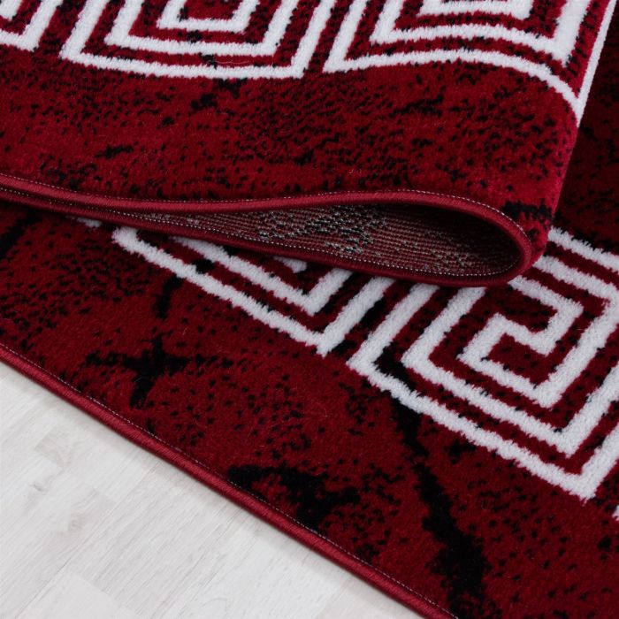 Plus Laby vloerkleed laagpolig rechthoek 120x170cm rood