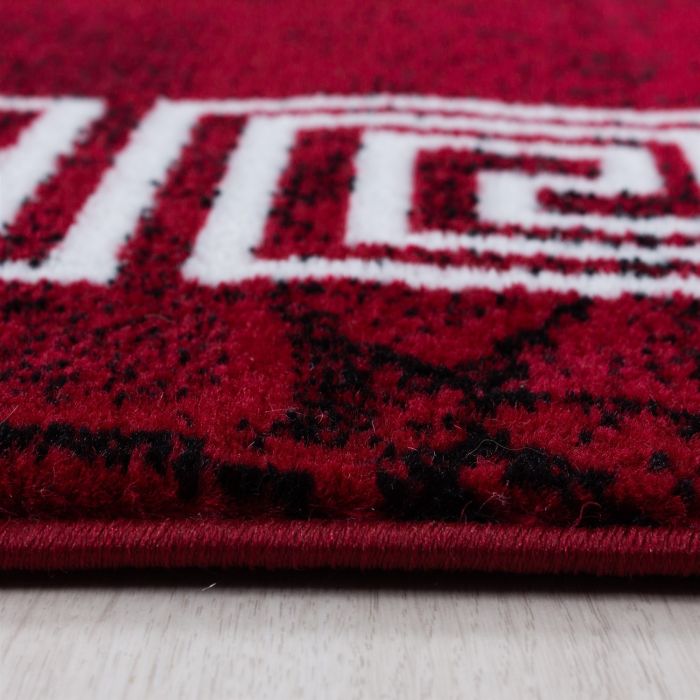 Plus Laby vloerkleed laagpolig rechthoek 200x290cm rood