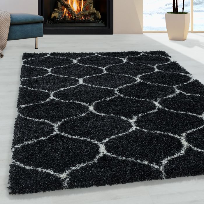 Salsa Shaggy vloerkleed hoogpolig rechthoek 240x340cm antraciet