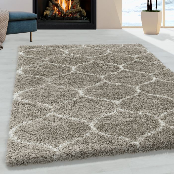 Salsa Shaggy vloerkleed hoogpolig rechthoek 160x230cm beige