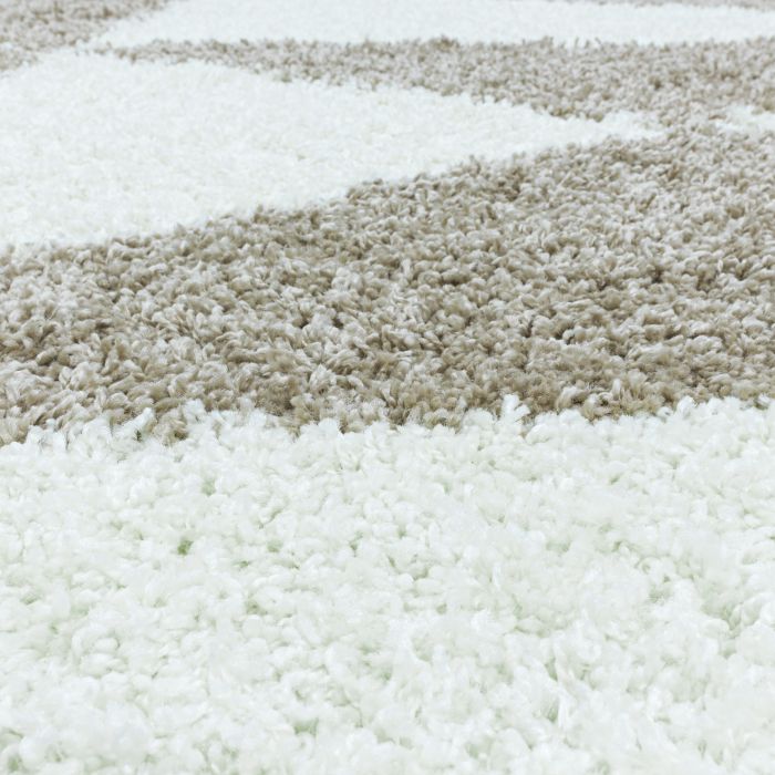 Tango Shaggy vloerkleed hoogpolig rechthoek 240x340cm beige