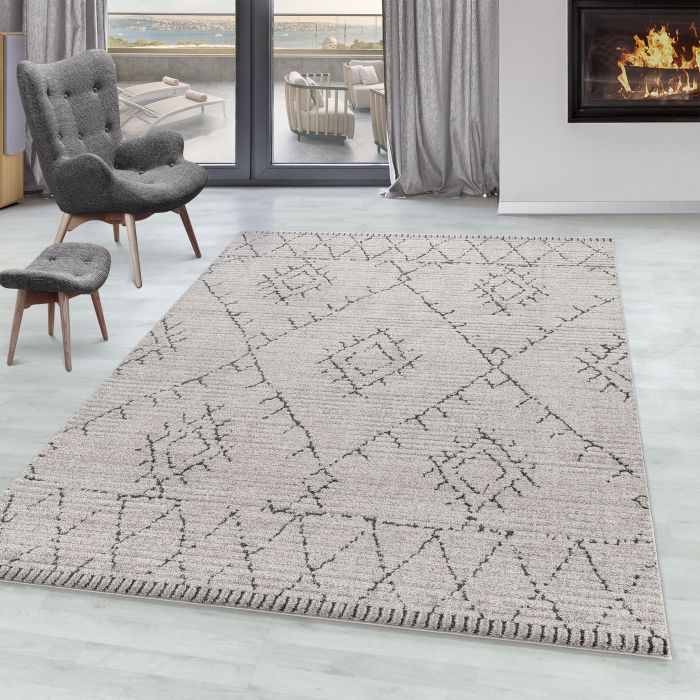 Taznaxt Aledin vloerkleed laagpolig rechthoek 120x170cm beige