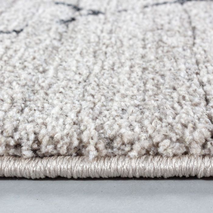 Taznaxt Aledin vloerkleed laagpolig rechthoek 120x170cm beige