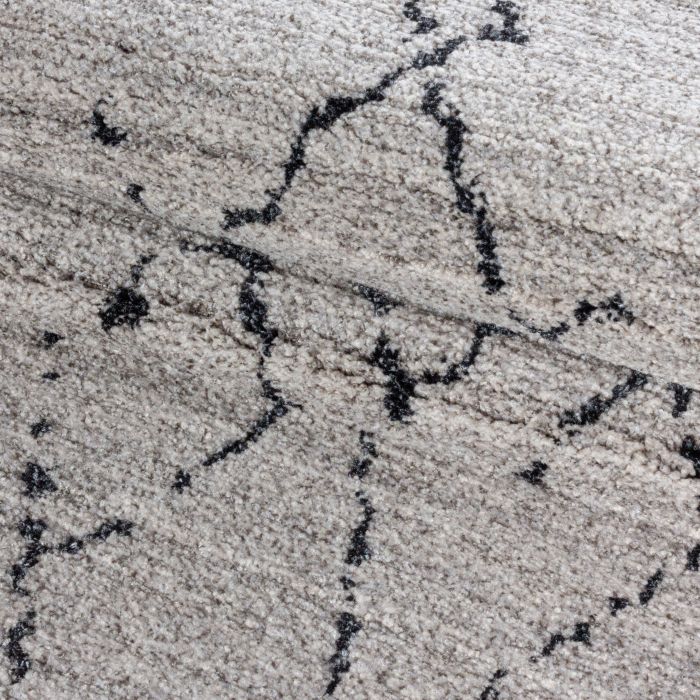 Taznaxt Aledin vloerkleed laagpolig rechthoek 120x170cm beige