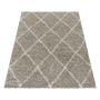 Alvor Shaggy vloerkleed hoogpolig rechthoek 280x370cm beige