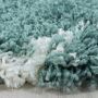 Alvor Shaggy vloerkleed hoogpolig rechthoek 240x340cm blauw