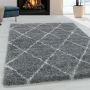 Alvor Shaggy vloerkleed hoogpolig rechthoek 60x110cm grijs