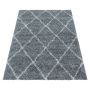 Alvor Shaggy vloerkleed hoogpolig rechthoek 200x290cm grijs
