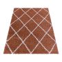 Alvor Shaggy vloerkleed hoogpolig rechthoek 80x150cm terra