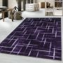 Costa Fisk vloerkleed laagpolig rechthoek 80x150cm lila