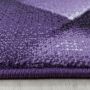 Costa Bary vloerkleed laagpolig rechthoek 200x290cm lila