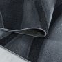 Costa Dalgy vloerkleed laagpolig rechthoek 80x150cm zwart