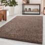 Dream Shaggy vloerkleed hoogpolig rechthoek 120x170cm mokka