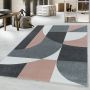 Efor Elips vloerkleed laagpolig rechthoek 120x170cm roos