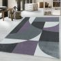 Efor Elips vloerkleed laagpolig rechthoek 80x150cm violet