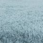 Fluffy Shaggy vloerkleed hoogpolig rechthoek 140x200cm blauw