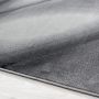 Miami Hios vloerkleed laagpolig rechthoek 200x290cm zwart