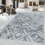 Naxos Rhamnous W vloerkleed laagpolig rechthoek 120x170cm zilverkleur