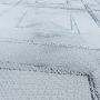 Naxos Rhamnous W vloerkleed laagpolig rechthoek 200x290cm zilverkleur