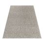Nizza vloerkleed lussenpolig rechthoek 240x340cm beige