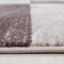 Parma Jawa vloerkleed laagpolig rechthoek 160x230cm bruin