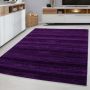 Plus vloerkleed laagpolig rechthoek 160x230cm lila