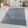 Rio One vloerkleed hoogpolig rechthoek 240x340cm zilverkleur