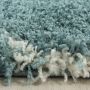 Salsa Shaggy vloerkleed hoogpolig rechthoek 160x230cm blauw
