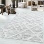 Pisa Rheng vloerkleed hoogpolig rechthoek 240x340cm grijs