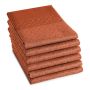 DDDDD Chrystal theedoek 60x65cm sienna (6 stuks)