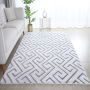 Vision Plux 3D vloerkleed laagpolig rechthoek 120x170cm beige