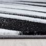 Parma Kristal vloerkleed laagpolig rechthoek 240x340cm zwart