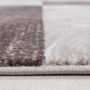 Parma Jawa vloerkleed laagpolig rechthoek 240x340cm bruin