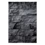 Parma Oltu vloerkleed laagpolig rechthoek 240x340cm zwart