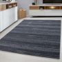 Plus vloerkleed laagpolig rechthoek 280x370cm grijs