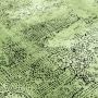 Elite Lunova vloerkleed laagpolig loper 80x150cm groen