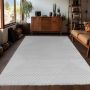 Sahara Aryon vloerkleed laagpolig rechthoek 280x370cm zilver