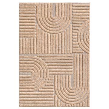 Art vloerkleed hoogpolig rechthoek 160x230cm roos