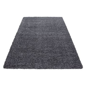 Dream Shaggy vloerkleed hoogpolig rechthoek 80x150cm grijs