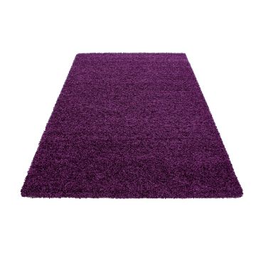 Dream Shaggy vloerkleed hoogpolig rechthoek 200x290cm lila