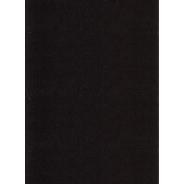Catwalk antislip vloerkleed laagpolig rechthoek 240x340cm zwart