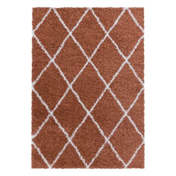 Alvor Shaggy vloerkleed hoogpolig rechthoek 280x370cm terra